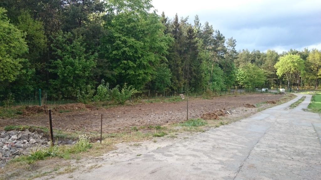 Miejsce na pastwisko